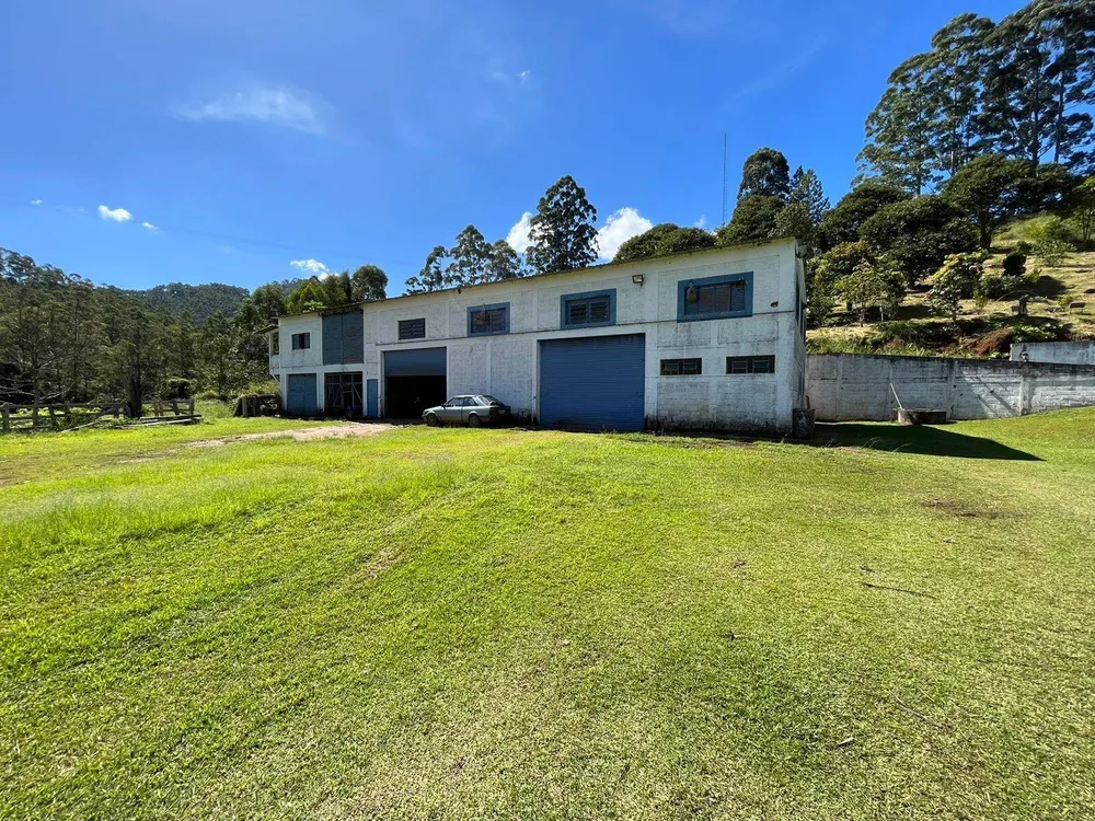 Fazenda, 196 hectares - Foto 10