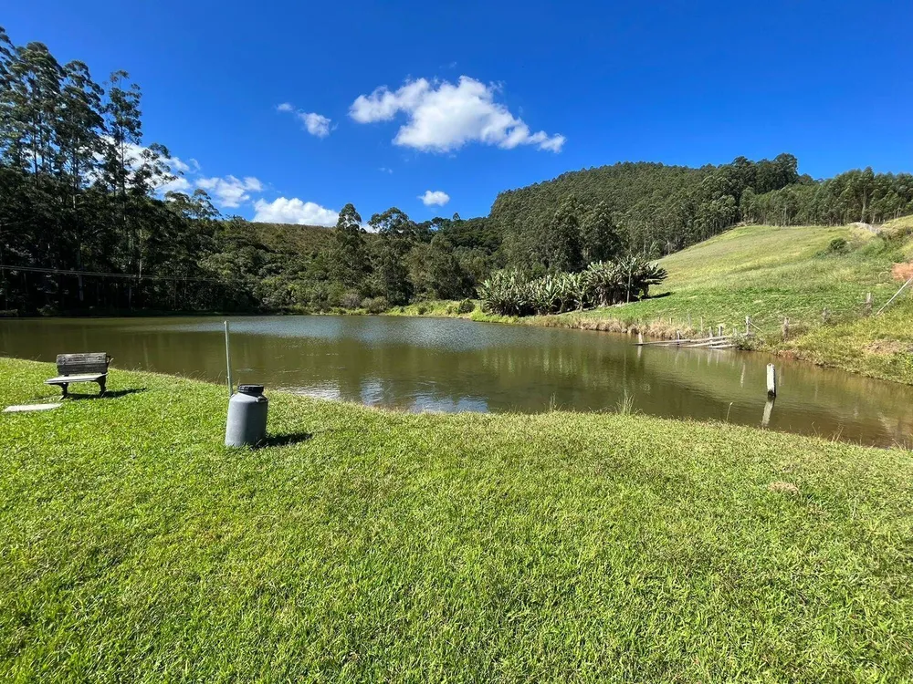 Fazenda, 196 hectares - Foto 11