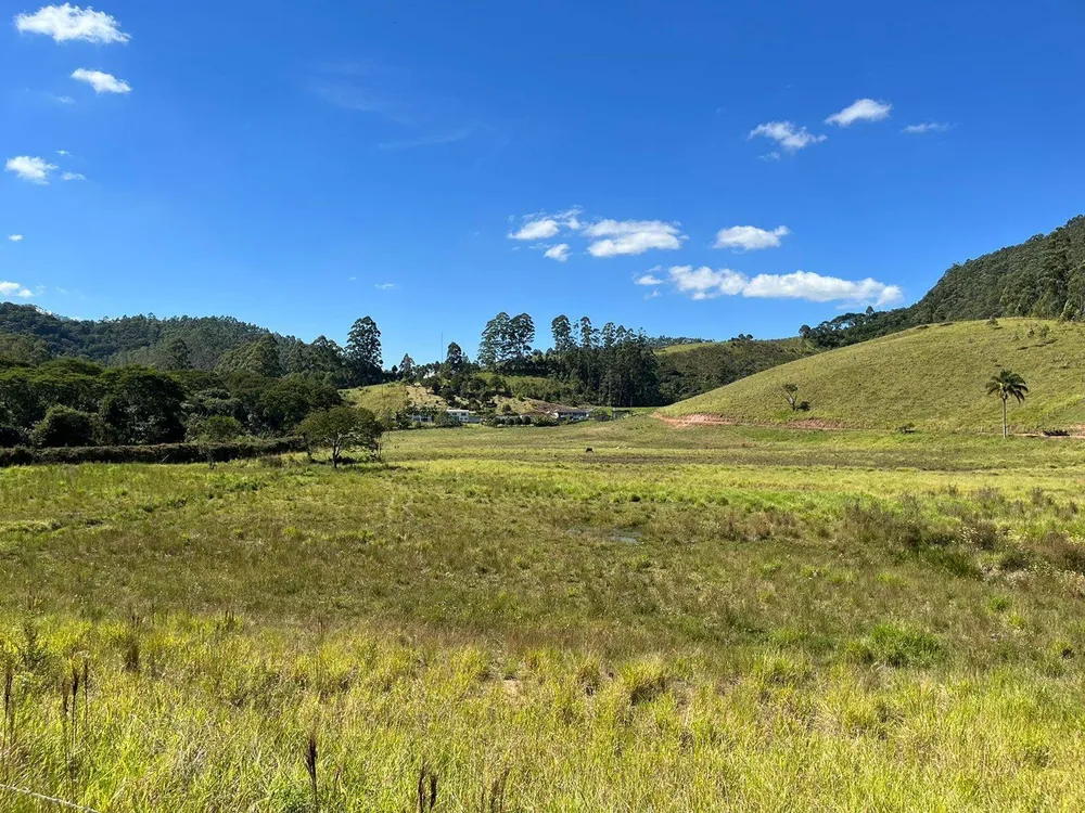 Fazenda, 196 hectares - Foto 9