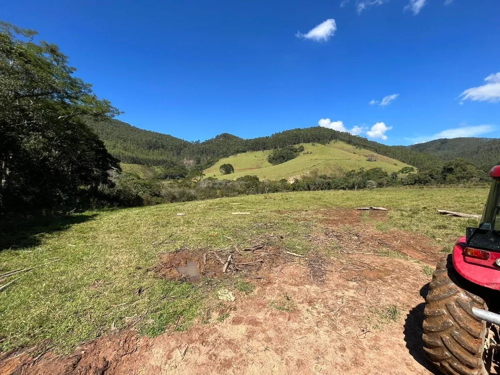 Fazenda, 196 hectares - Foto 8