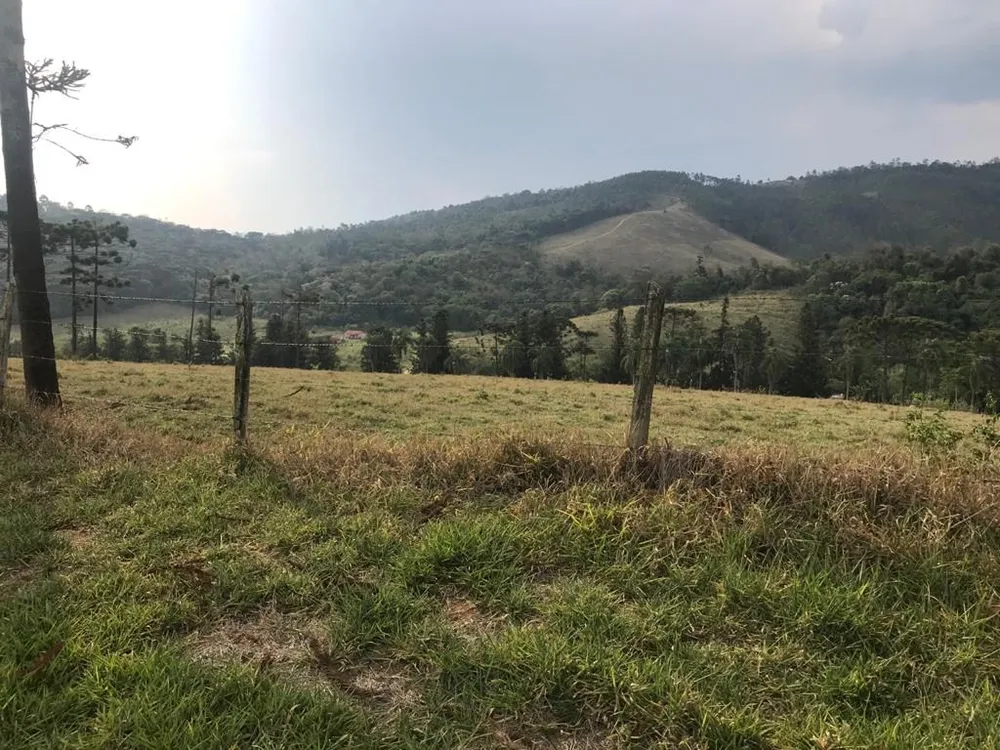 Fazenda, 339 hectares - Foto 14