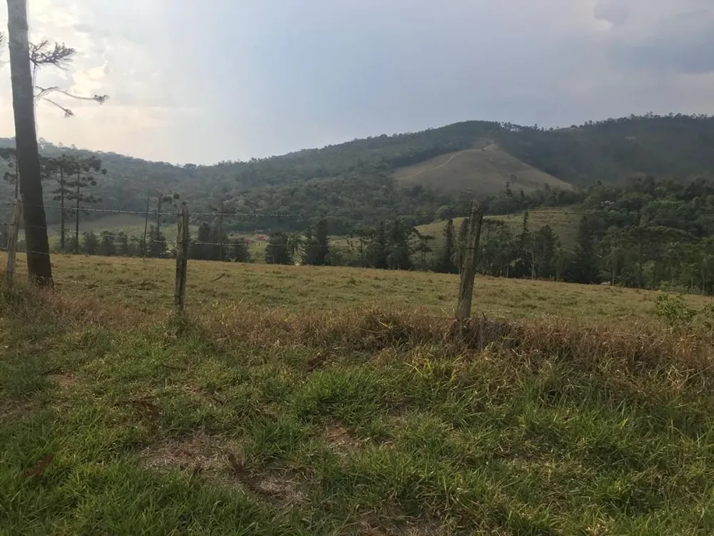 Fazenda, 339 hectares - Foto 19