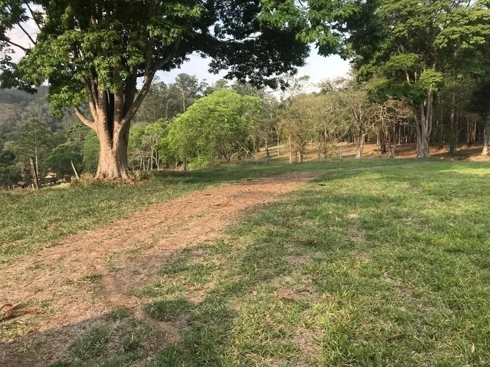 Fazenda, 339 hectares - Foto 18