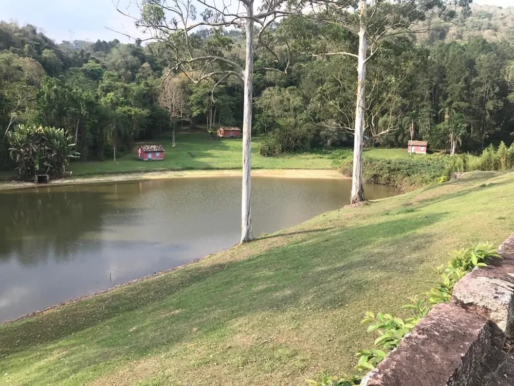 Fazenda, 339 hectares - Foto 8