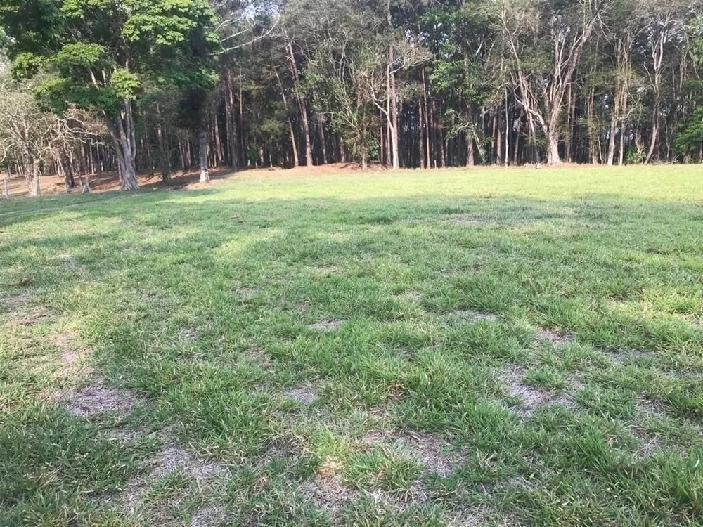 Fazenda, 339 hectares - Foto 6