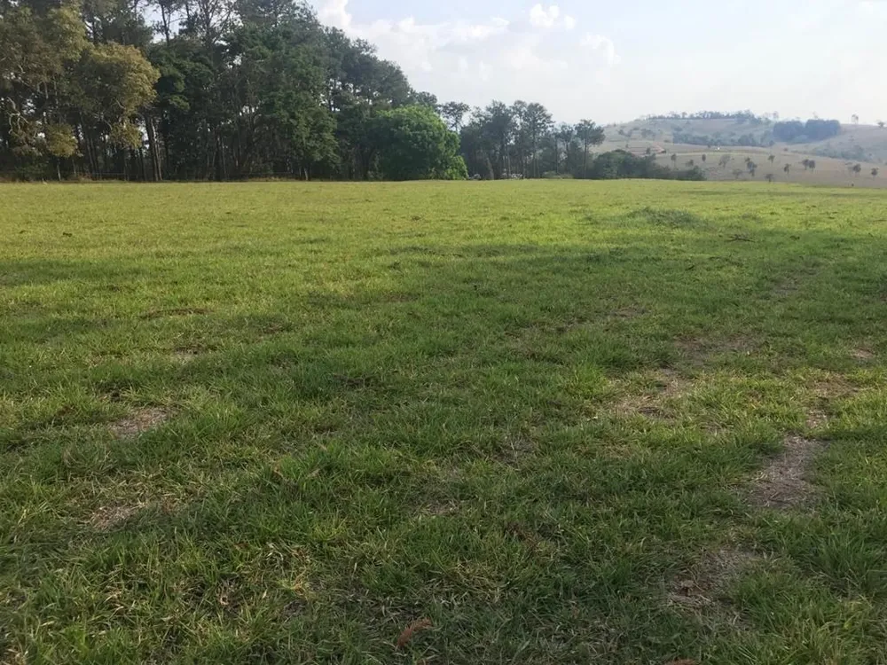 Fazenda, 339 hectares - Foto 12