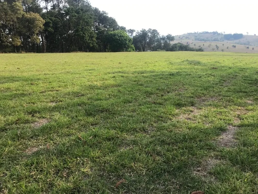 Fazenda, 339 hectares - Foto 11