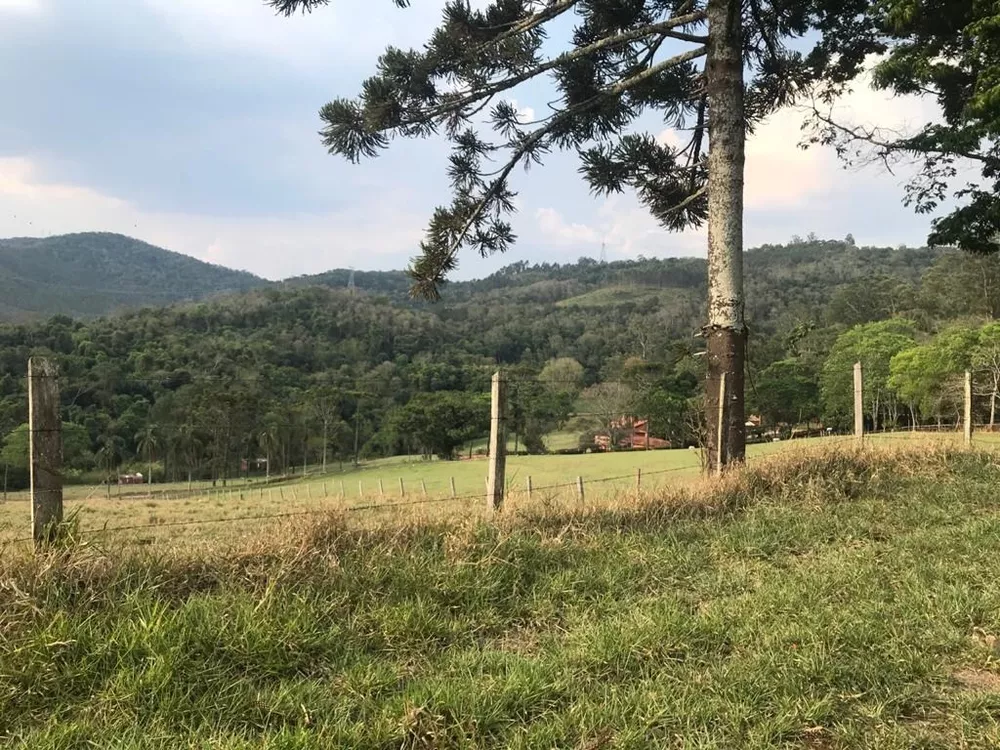 Fazenda, 339 hectares - Foto 8