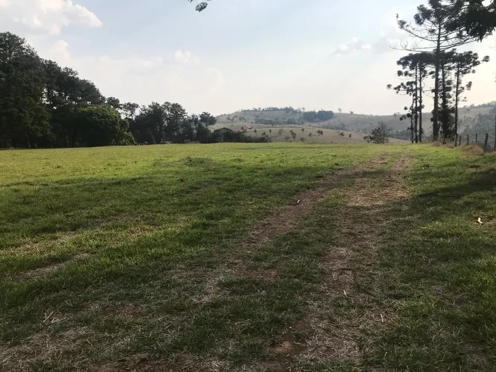 Fazenda, 339 hectares - Foto 7