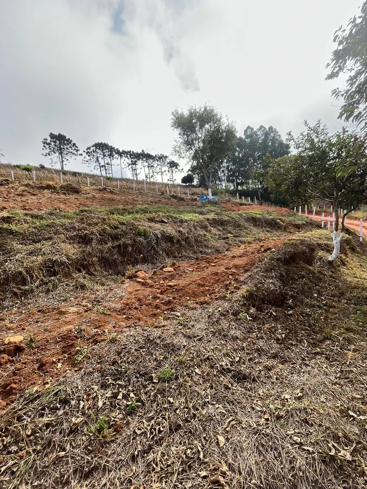 Terreno, 8000 m² - Foto 12