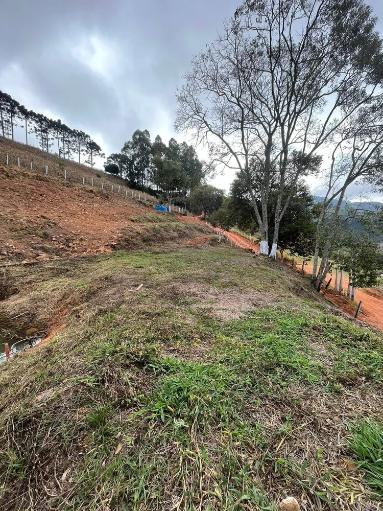 Terreno, 8000 m² - Foto 10