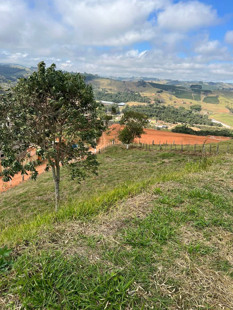 Terreno, 8000 m² - Foto 7