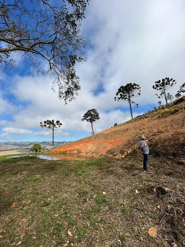 Terreno, 8000 m² - Foto 11