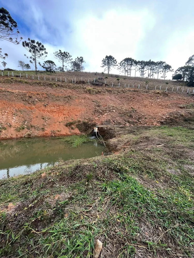 Terreno, 8000 m² - Foto 11