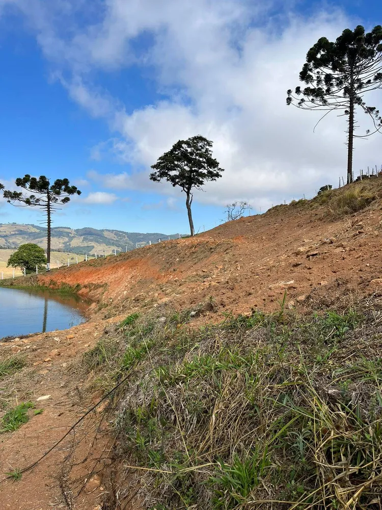 Terreno, 8000 m² - Foto 8