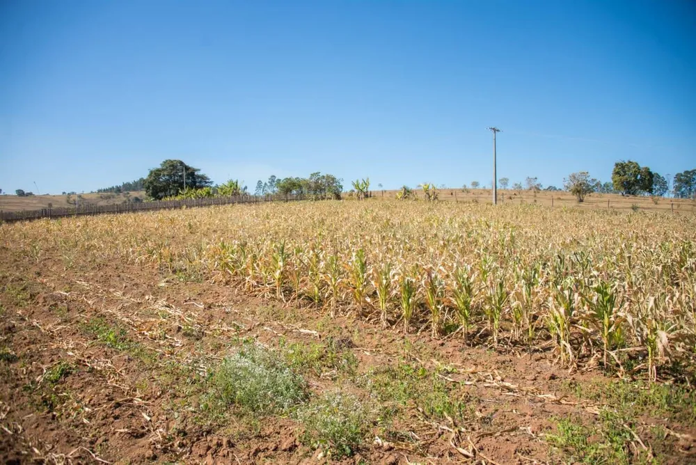 Terreno, 3 hectares - Foto 12