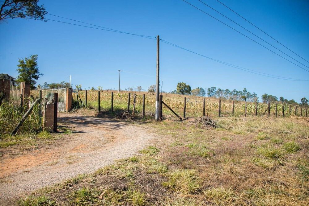 Terreno, 3 hectares - Foto 2