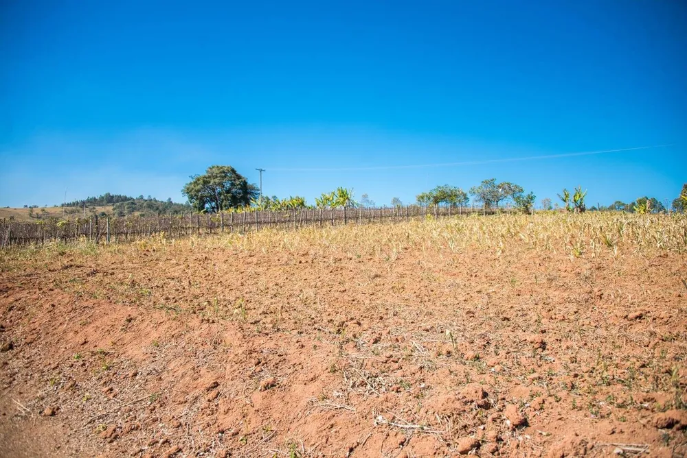 Terreno, 3 hectares - Foto 8