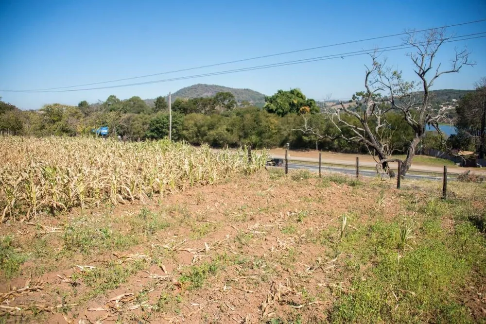 Terreno, 3 hectares - Foto 11