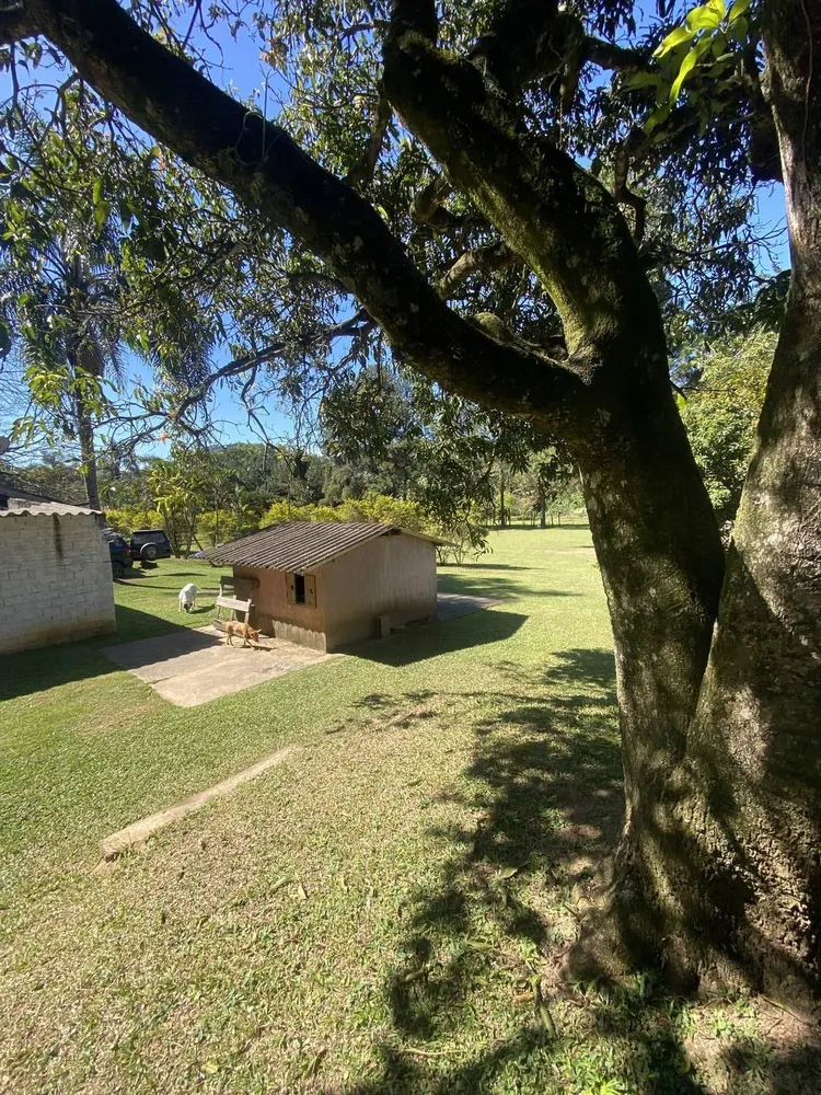 Sítio, 8 quartos, 1 hectares - Foto 3
