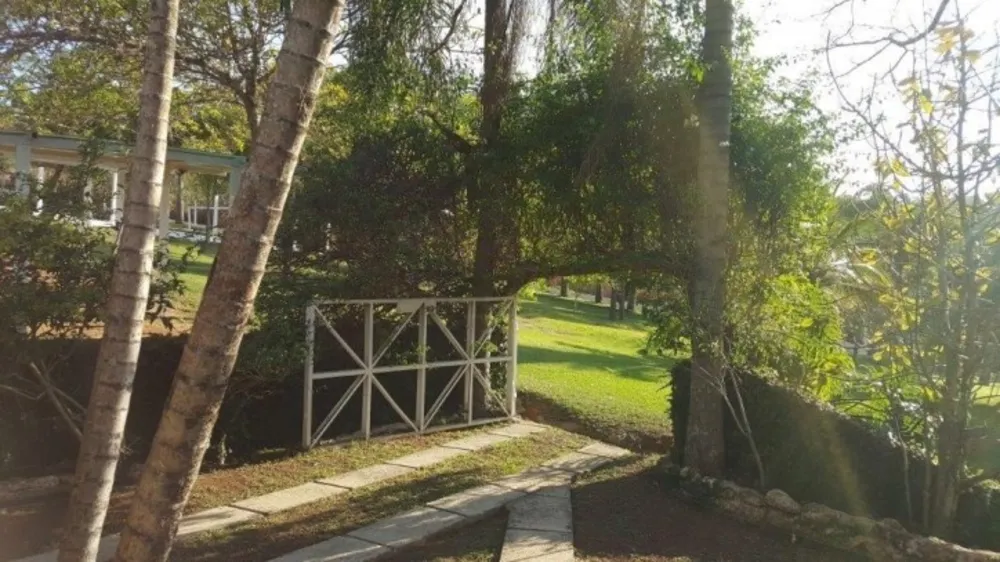 Sítio, 3 quartos, 3 hectares - Foto 13