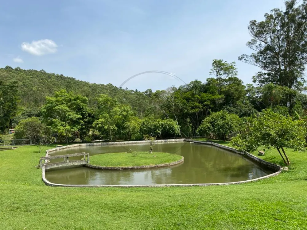 Sítio, 5 quartos, 3 hectares - Foto 4
