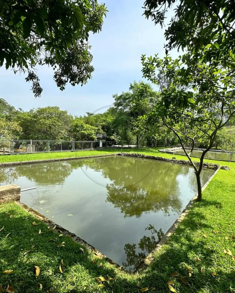 Sítio, 5 quartos, 3 hectares - Foto 12