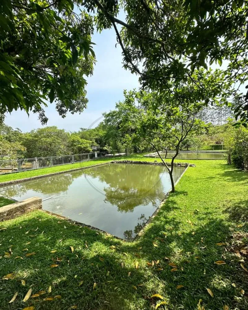 Sítio, 5 quartos, 3 hectares - Foto 7