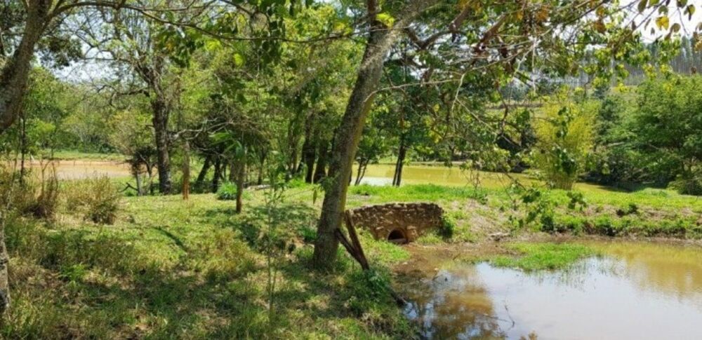 Fazenda à venda com 4 quartos, 508200m² - Foto 12