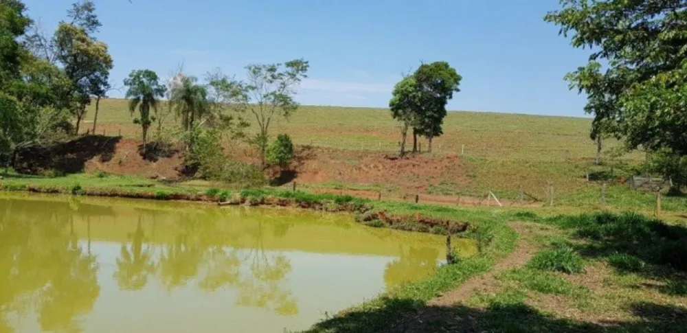 Fazenda, 51 hectares - Foto 6