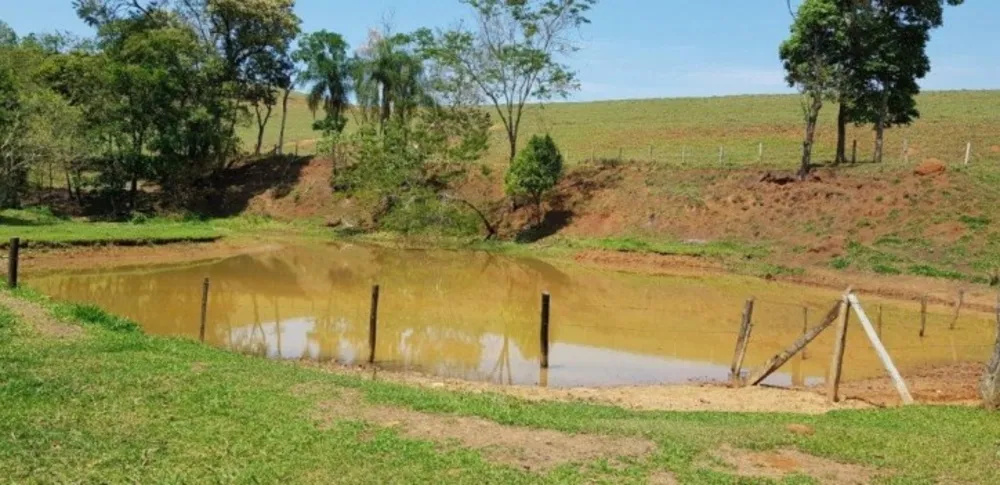 Fazenda, 51 hectares - Foto 7