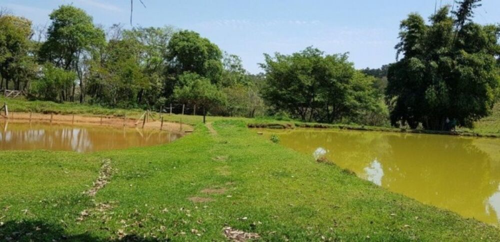 Fazenda à venda com 4 quartos, 508200m² - Foto 4