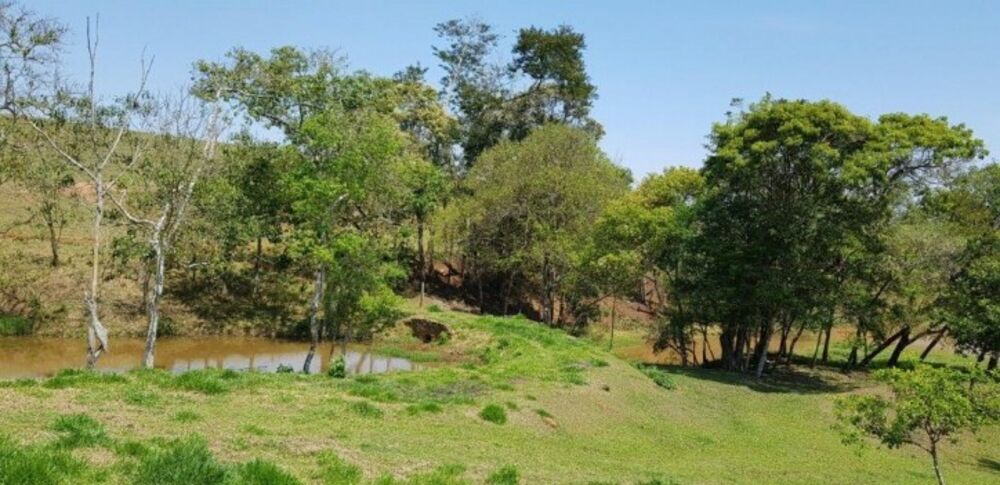 Fazenda à venda com 4 quartos, 508200m² - Foto 14