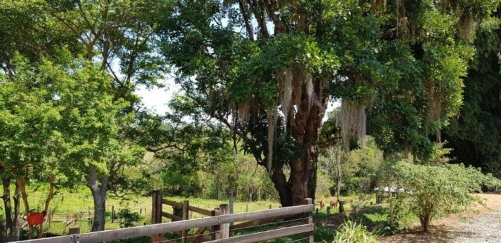 Fazenda à venda com 4 quartos, 508200m² - Foto 18