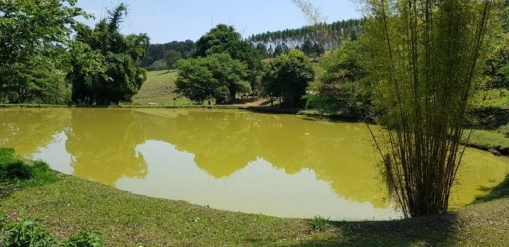 Fazenda, 51 hectares - Foto 10