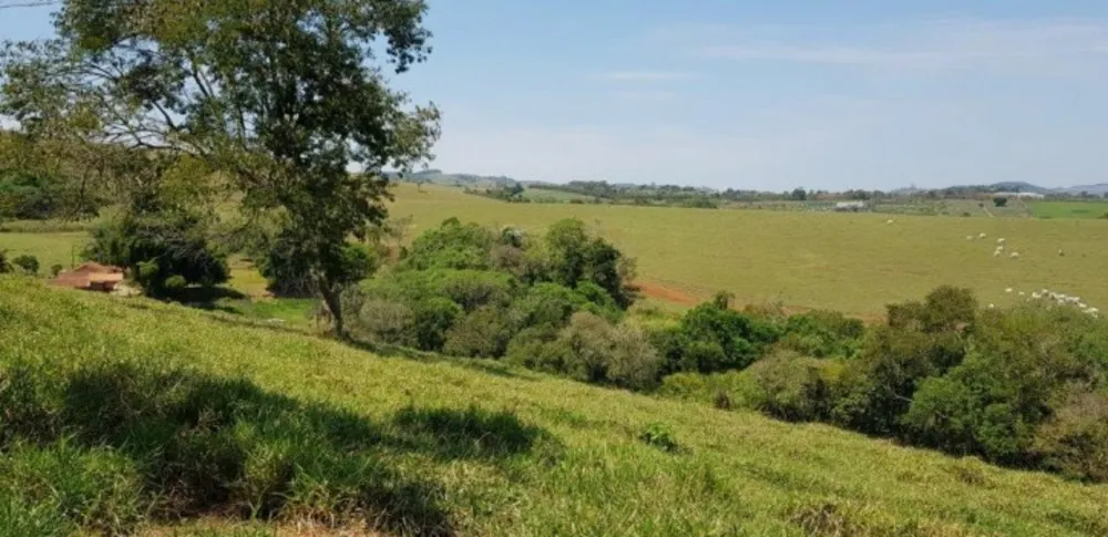 Fazenda, 51 hectares - Foto 12