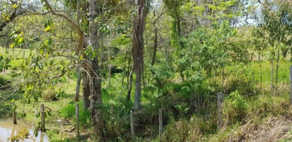Fazenda, 51 hectares - Foto 31