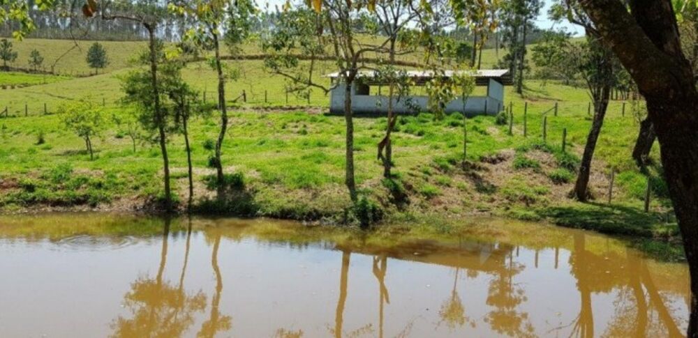 Fazenda à venda com 4 quartos, 508200m² - Foto 10