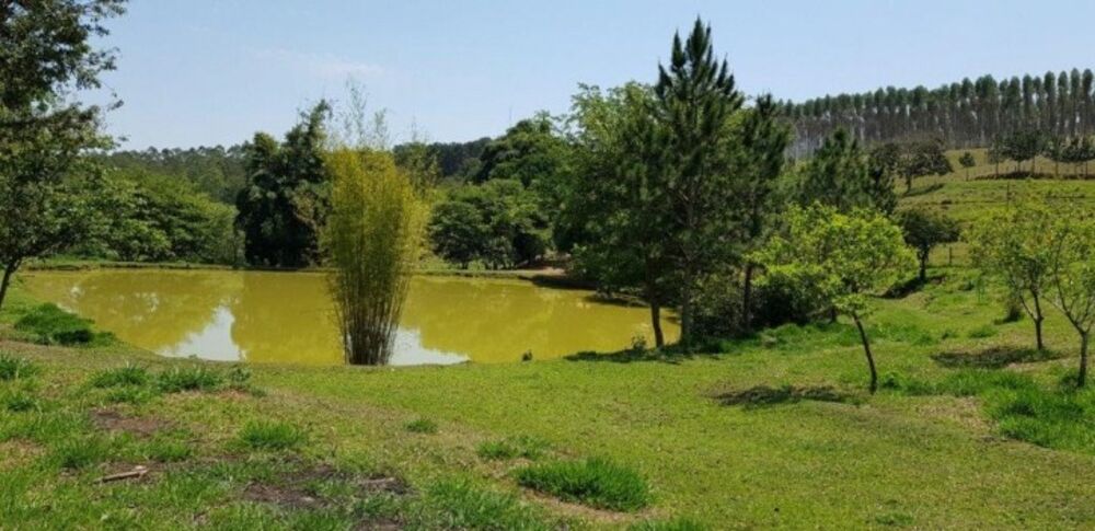 Fazenda à venda com 4 quartos, 508200m² - Foto 8