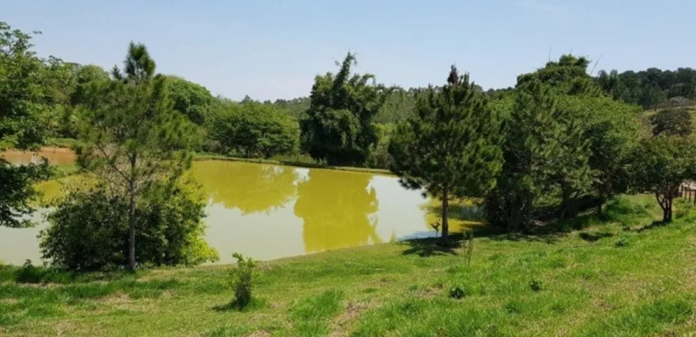 Fazenda, 51 hectares - Foto 25
