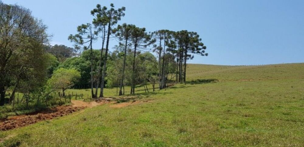 Fazenda à venda com 4 quartos, 508200m² - Foto 13