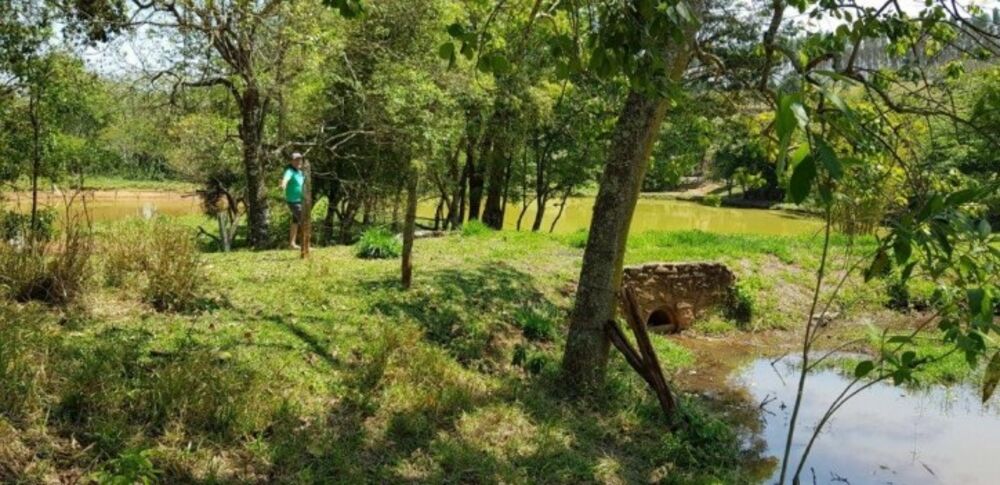 Fazenda à venda com 4 quartos, 508200m² - Foto 11
