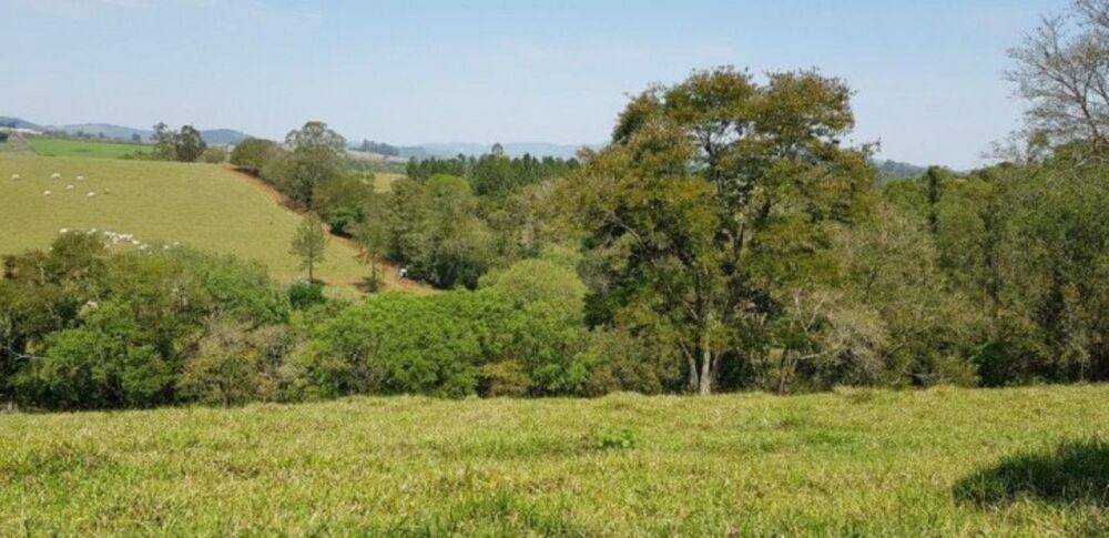 Fazenda à venda com 4 quartos, 508200m² - Foto 1