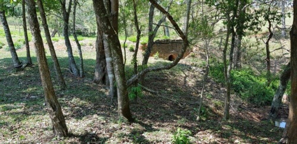 Fazenda à venda com 4 quartos, 508200m² - Foto 6