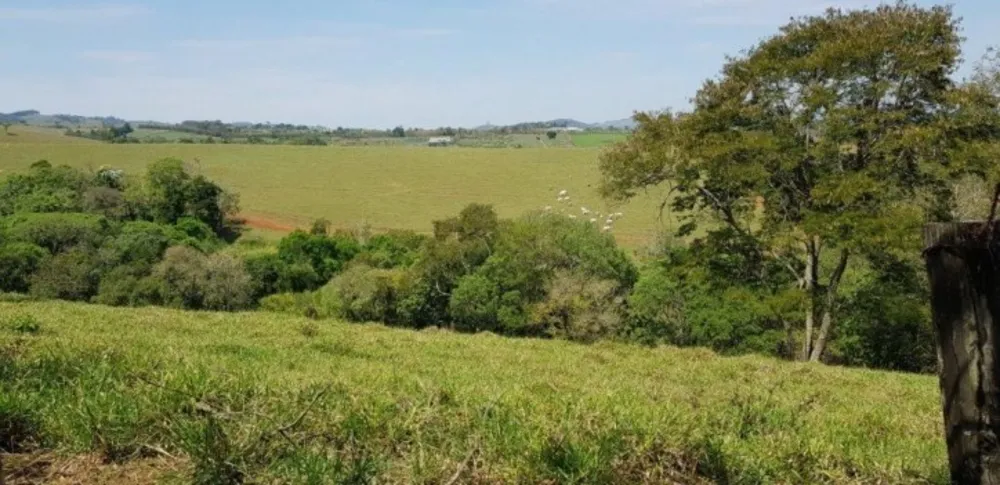 Fazenda, 51 hectares - Foto 1