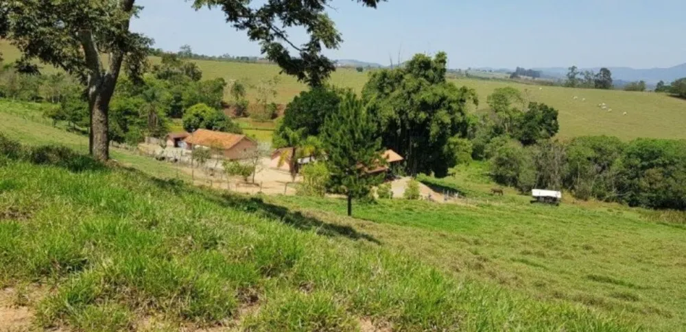 Fazenda, 51 hectares - Foto 8