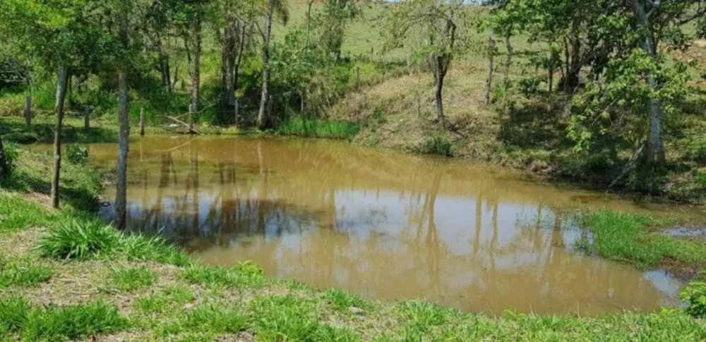 Fazenda, 51 hectares - Foto 15
