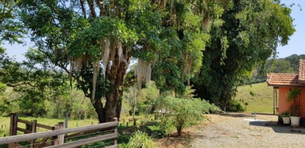 Fazenda à venda com 4 quartos, 508200m² - Foto 19