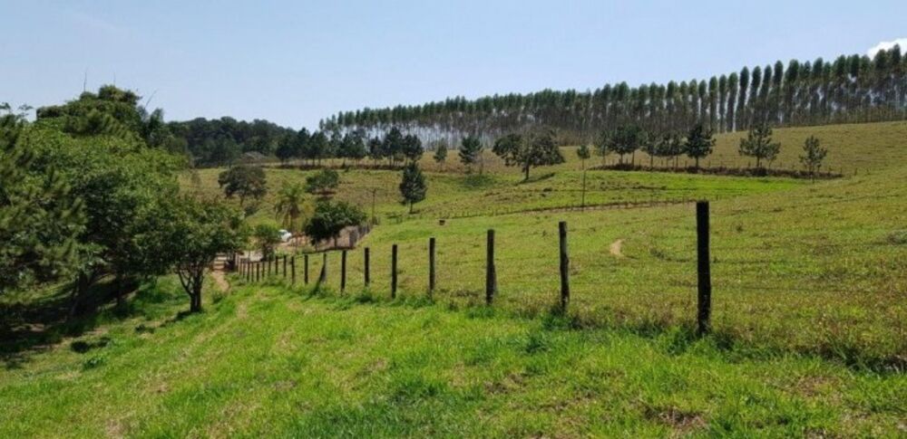 Fazenda à venda com 4 quartos, 508200m² - Foto 15