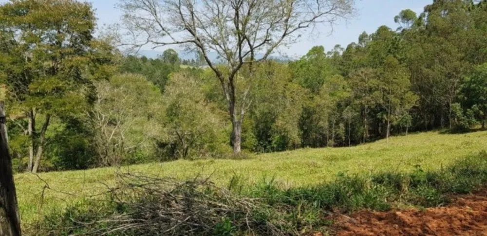 Fazenda, 51 hectares - Foto 17